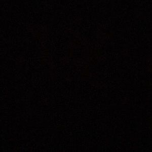 Meet your Posher, Darnell